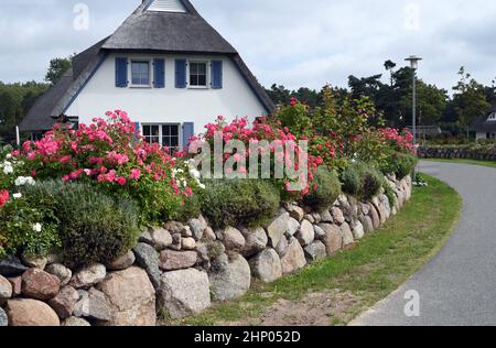 Friesenwall, Friezes wall, consists of stacked boulders from the Ice Age. Stock Photo