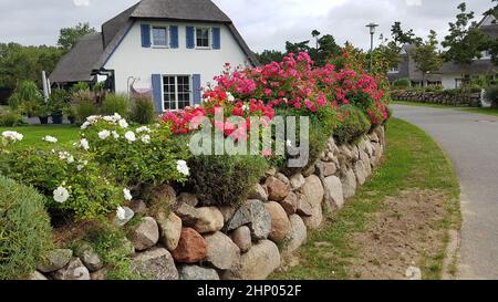 Friesenwall, Friezes wall, consists of stacked boulders from the Ice Age. Stock Photo