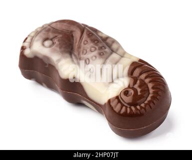 Chocolate sweets shaped as seashells isolated on white background Stock Photo