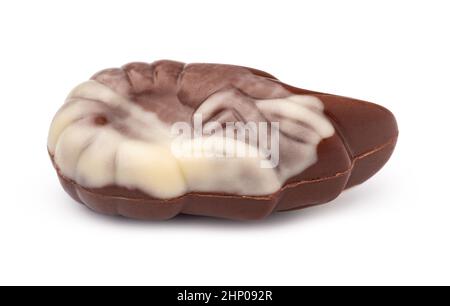 Chocolate sweets shaped as seashells isolated on white background Stock Photo