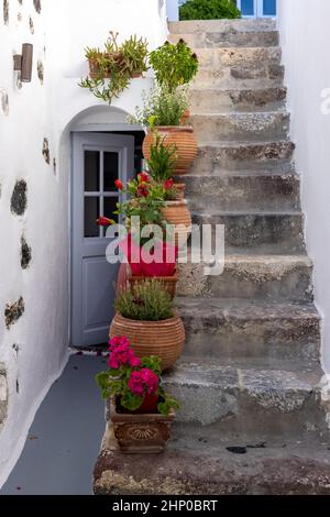 Ceramic flower pots on steep stone steps at Imergovigli, Santorini, Greece Stock Photo