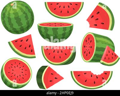 Cartoon fresh green open watermelon half, slices and triangles. Red watermelon piece with bite. Sliced cocktail water melon fruit vector set. Illustra Stock Vector