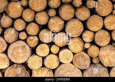 Side view on logs of fire wood stacked. Stock Photo