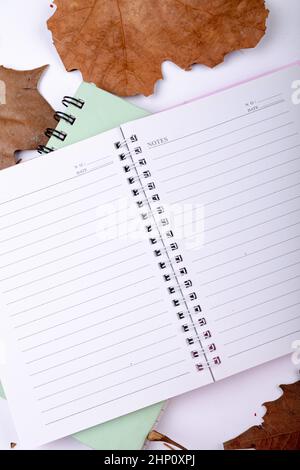 Composition of halloween decoration with leaves and notebook with copy space on white background Stock Photo