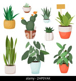 Set of various green houseplants in pots Stock Vector