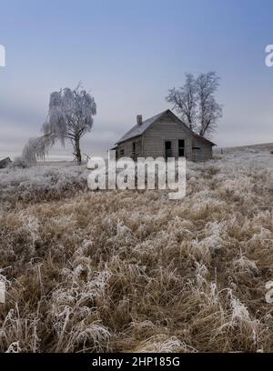 An abandoned rural homestead in winter with frost on the gorund near Davenport, Washington. Stock Photo