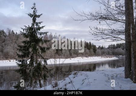 River Gauja in winter time, Cesis, Latvia Stock Photo