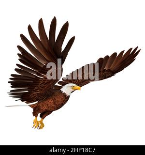 3D rendering of a bald eagle isolated on white background Stock Photo ...