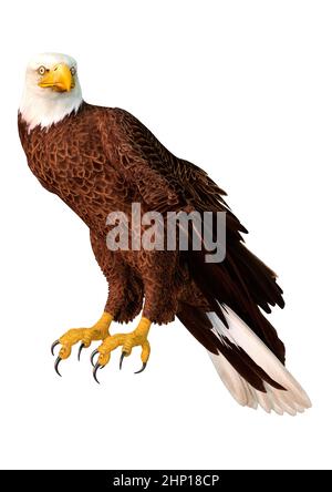 3D rendering of a bald eagle isolated on white background Stock Photo ...