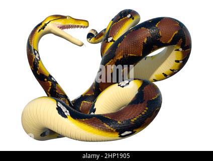 3D rendering of a Reticulated python or Python reticulatus, a species of python found in Southeast Asia Stock Photo