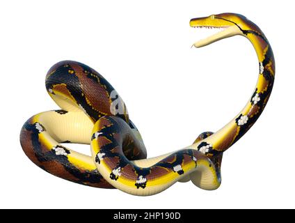 3D rendering of a Reticulated python or Python reticulatus, a species of python found in Southeast Asia Stock Photo