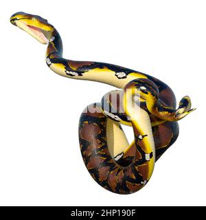 3D rendering of a Reticulated python or Python reticulatus, a species of python found in Southeast Asia Stock Photo