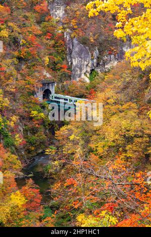 The Naruko Gorge valley with rail tunnel in Miyagi Tohoku Japan Stock Photo