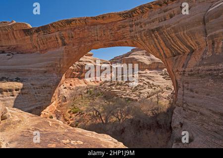 Peeking Through the Window of a Natural Bridge on the Sipapu Bridge in Natural Bridges National Park in Utah Stock Photo