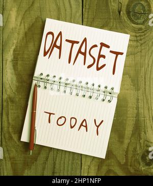 Writing displaying text Dataset, Word for collection of numbers or values that relate to a particular subject Setting New Ideas Creating Fresh Thought Stock Photo