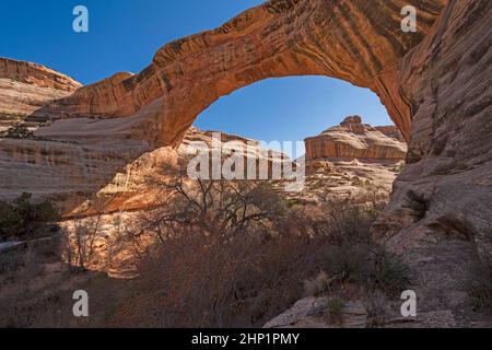 Morning Views Through a Natural Bridge at Sipapu Bridge in Natural Bridges National Monument in Utah Stock Photo