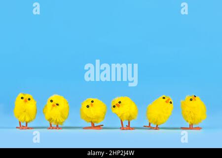 Small decorative easter chickens in a row on blue bakcground Stock Photo