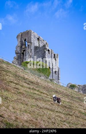 Ruin on a steep slope, near Calhau das Achadas, Madeira, Portugal Stock  Photo - Alamy