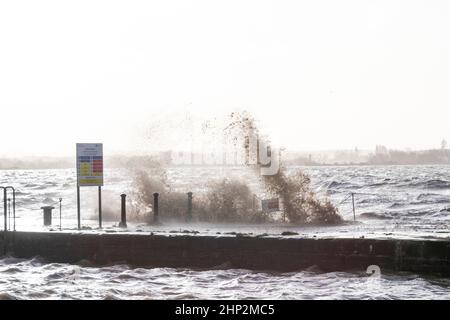 0900 Friday 18th February 2022. Storm Eunice: Lydney Harbour, Forest of Dean, River Severn, Gloucestershire. High tide and storm surge threaten to ove Stock Photo