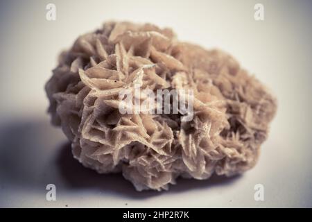 Detailed photo of Desert Rose natural mineral stone cluster. Stock Photo