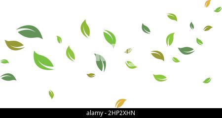 fallen leaves and bowing  wind vector illustration design Stock Vector
