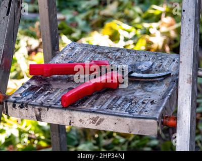 Garden shears for cutting branches of trees and bushes. Gardener's tool scissors. Garden equipment. Cutting branches of trees and bushes. Agriculture. Stock Photo