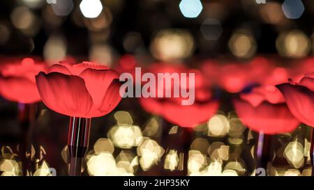 Red roses on abstract bokeh background for love Valentine’s Day greeting card Stock Photo