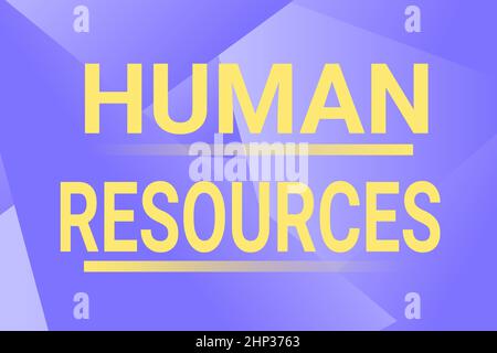 Text caption presenting Human Resources, Business overview The showing who make up the workforce of an organization Line Illustrated Backgrounds With Stock Photo