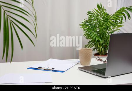 White table with laptop and pots with plants, freelance workplace Stock Photo