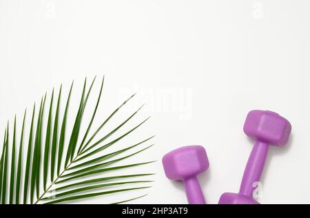 two purple plastic kilogram dumbbells on a white background, top view. Sports equipment, copy space Stock Photo