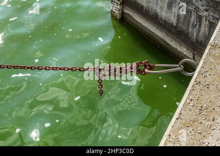 Old rusty boat chain, over green water at the dock, with sea level indicator in background. Stock Photo