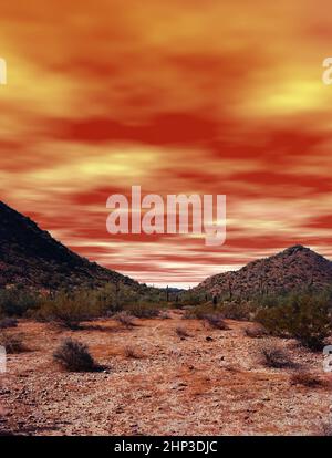 Sunset in the Sonora desert in central Arizona USA Stock Photo