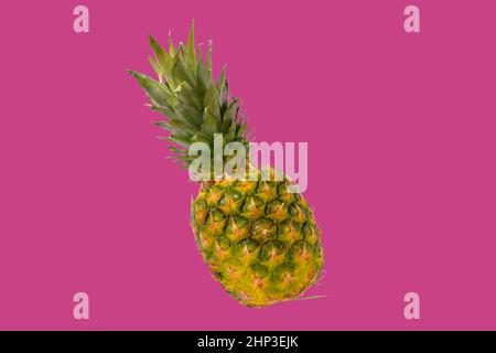 Pineapple fruit isolated on pastel background. Creative layout made of pineapple. Flying food. Food concept. Stock Photo