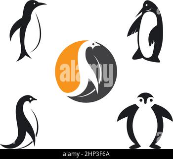 penguin icon vector illustration design template Stock Vector