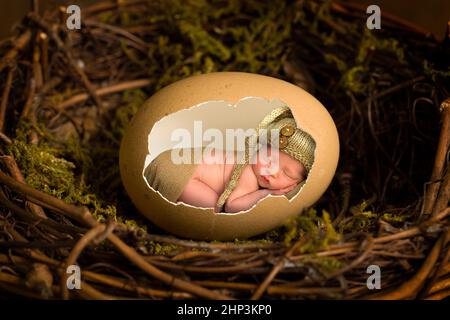 Adorable little newborn baby boy of only 11 days old sleeping inside an open brown chicken egg Stock Photo