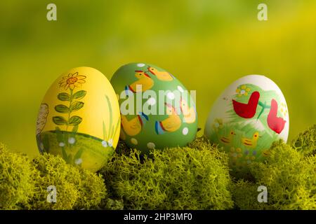 Three multi colored easter eggs on a mossy green background Stock Photo