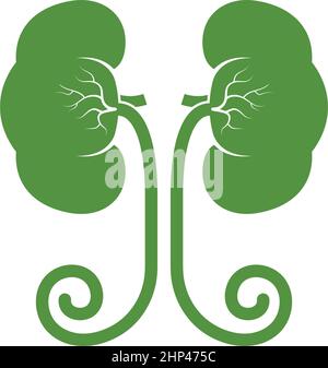 kidney icon vector illustration design Stock Vector