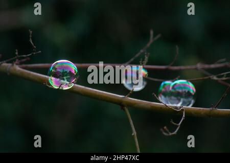 Soap bubble Stock Photo
