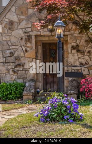 Vintage lamp post with purple clematis full of blooms vining around the bottom of it and rustic rock cottage door blurred behind Stock Photo