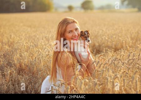 Young woman holding Jack Russell Terrier puppy, in the wheat field, lit by sunset light. Stock Photo