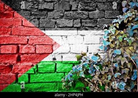 Palestine grunge flag on brick wall with ivy plant, country symbol concept Stock Photo