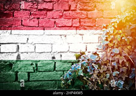 Hungarian grunge flag on brick wall with ivy plant sun haze view, country symbol concept of Hungary Stock Photo