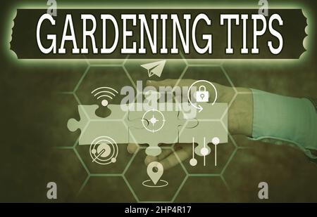 Hand writing sign Gardening Tips, Word Written on Proper Practices in growing crops Botanical Approach Hand Holding Jigsaw Puzzle Piece Unlocking New Stock Photo