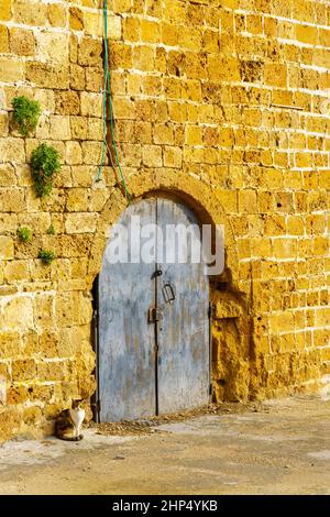 View of a hatch in the land wall, guarded by a cat, in the old city of Acre (Akko), Northern Israel Stock Photo