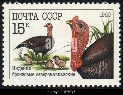 A postage stamp with image of  Domestic turkeys (Meleagris gallopavo domesticus)  Bronze North Caucasian female turkey (hen) , baby turkeys ( poults), Stock Photo