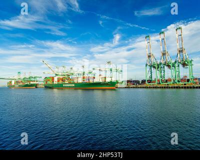Los Angeles, CA, USA - November 17, 2017: Two Evergreen container ships -- Ever Lunar and Ever Shine -- take on cargo at the LA Everport terminal. Stock Photo