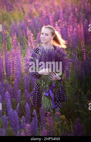 Attractive girl in a long purple dress on a field with lupines. at sunset. Selective focus. Stock Photo