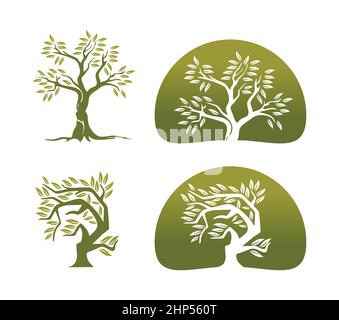 Olive Tree Vector Sign Stock Vector