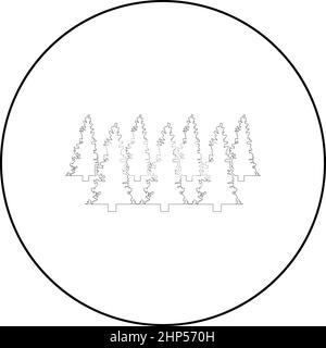 Forest fir spruce icon in circle round black color vector illustration solid outline style image Stock Vector