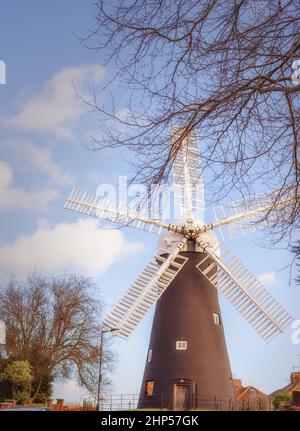 A 18th Century working windmill set in a residential street.  There are tree branches in the foreground and blue sky with cloud above Stock Photo